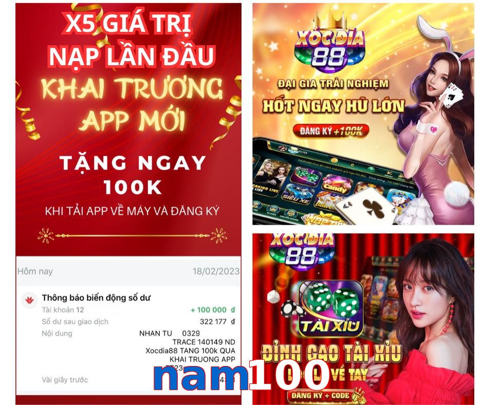 nam100